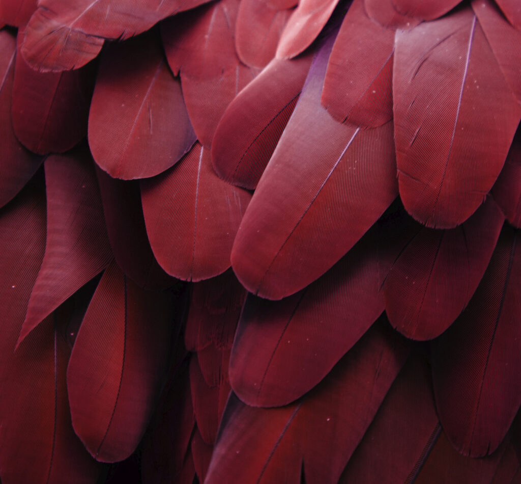 Pantone announces its 2015 colour of the year: Marsala