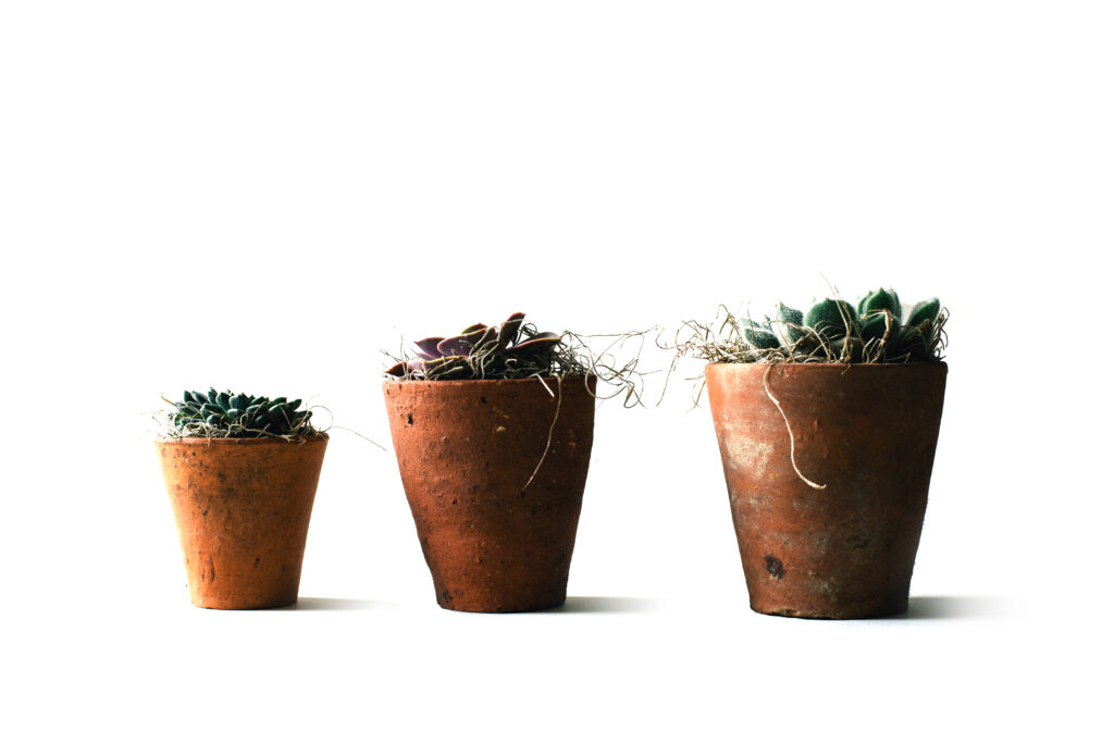 Web design trends for 2015 (Part three)