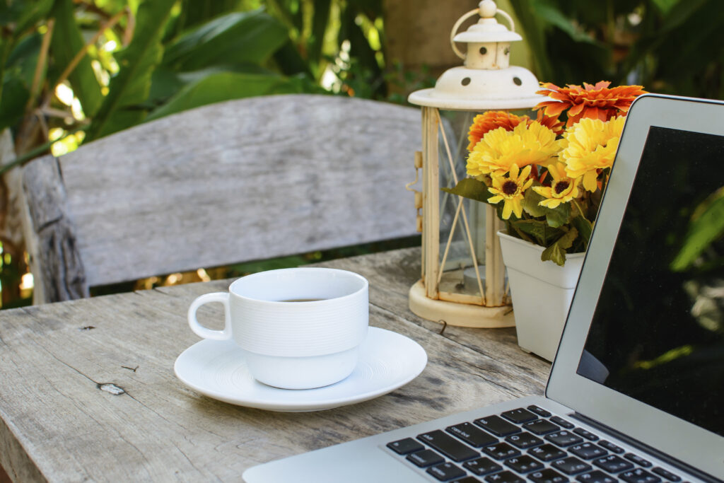 Which CMS? Umbraco versus Drupal