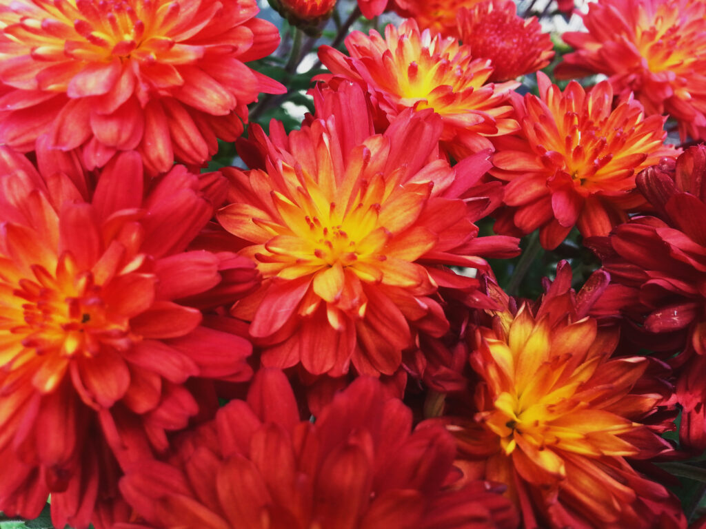 Colour theory for your website (Part 3)