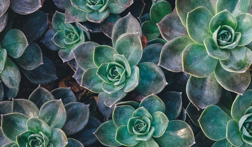 13 visual content marketing statistics you need to know