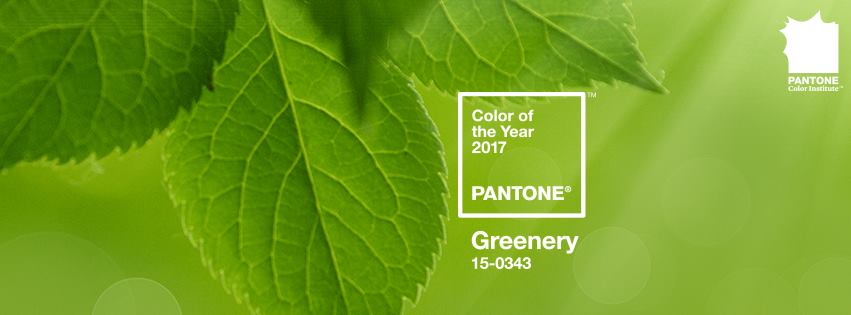 Pantone reveals much-anticipated 2017 Colour of the Year