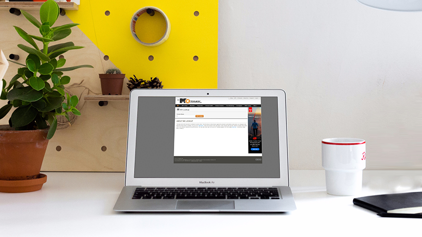 What is MXToolbox?