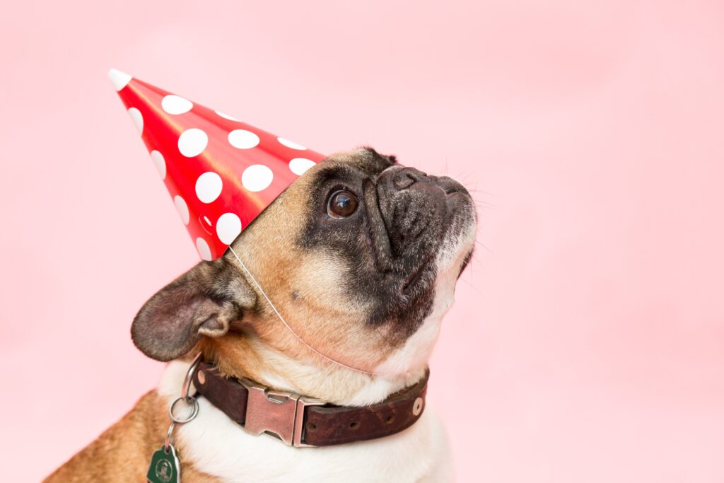 How to keep a brand consistent as it grows